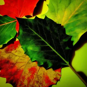 Autumnal Foliage: Vibrant Orange and Yellow Tree Leaves