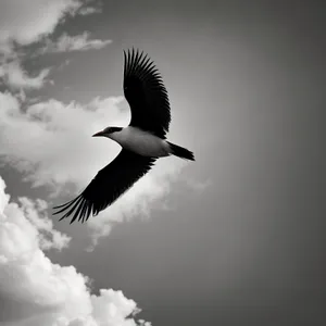 Graceful Flight of Aquatic Birds in the Sky
