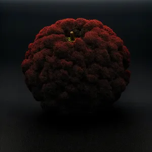 Fresh and Juicy Litchi and Raspberry Closeup Shot
