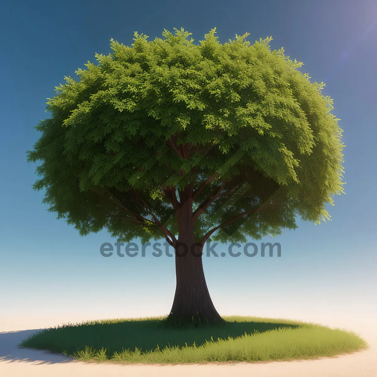 Picture of Serene Oak Tree in Lush Summer Landscape