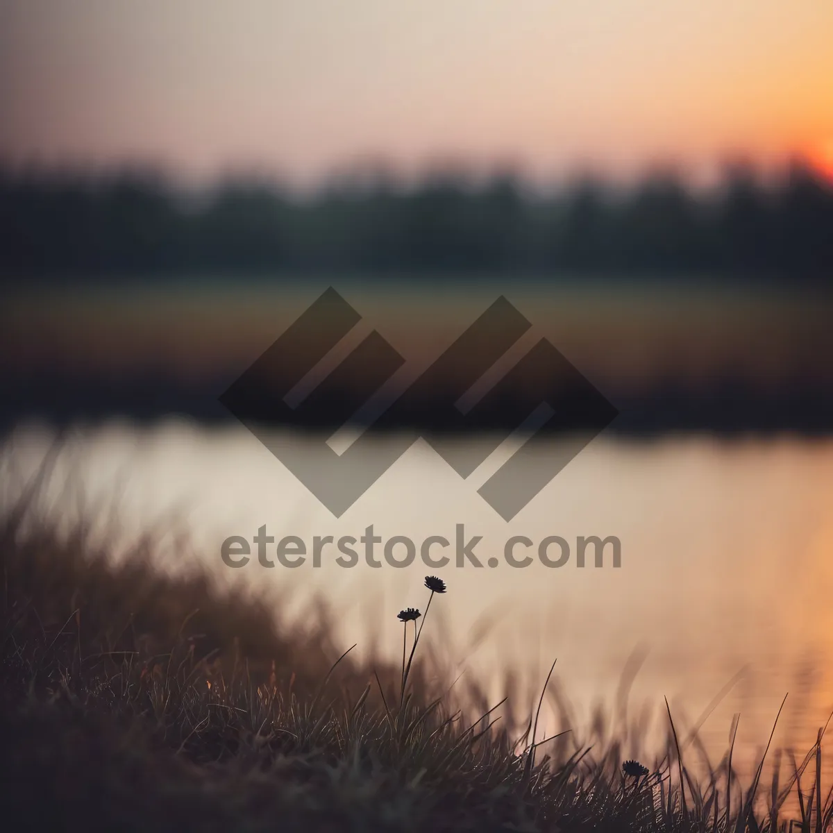 Picture of Vibrant Sunset over Wheat Field