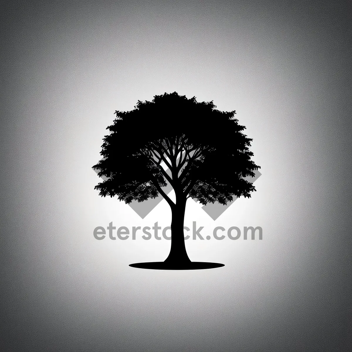 Picture of Silhouette of Oak Tree Branch with Tracing Floral Design