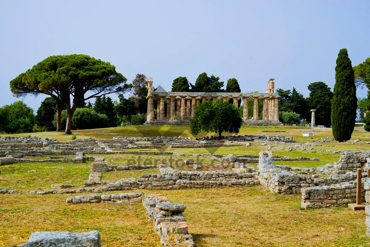 Picture of Ancient Garden Maze in Historic Landscape