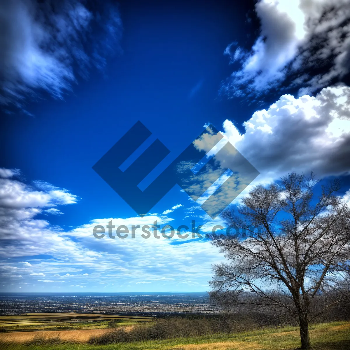 Picture of Vibrant Sunset Over Rural Meadow with Clouds and Trees