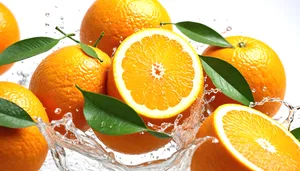 Fresh Citrus Fruits for Healthy Breakfast Options