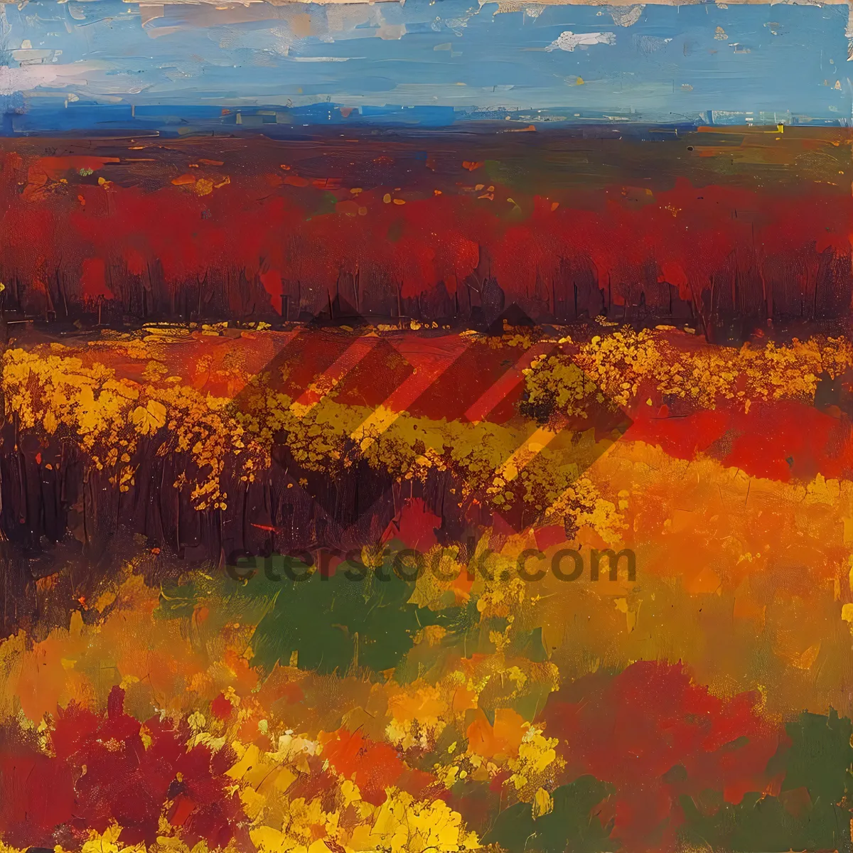 Picture of Colorful Autumn Sunset over a Vibrant Poppy Field.