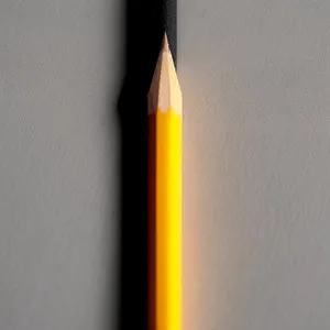 Vibrant School Supplies on Wooden Desk