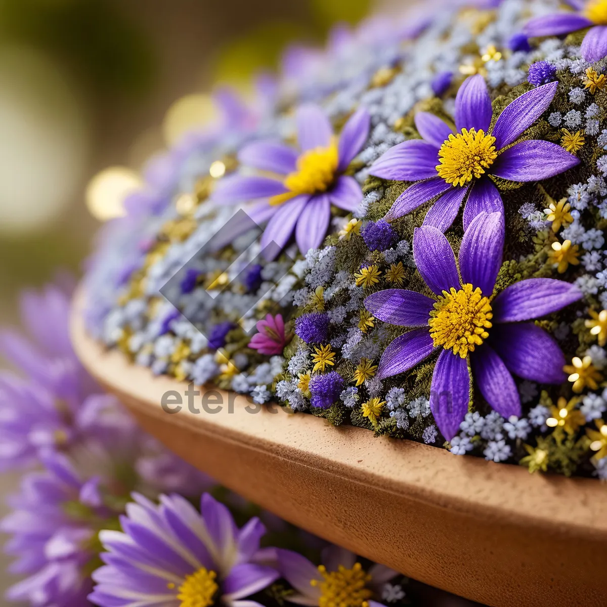 Picture of Blooming asters in a vibrant garden bouquet