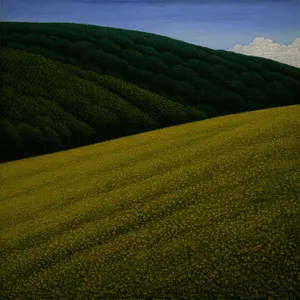 Vast rural landscape with lush green meadow.