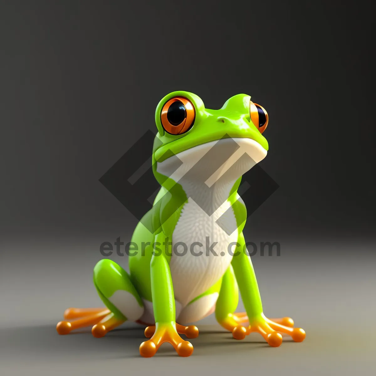 Picture of Bulging-eyed Tree Frog Peeping from Tree