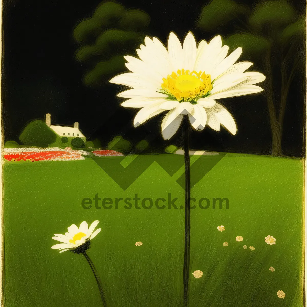 Picture of Vibrant Yellow Daisy Blossom in Meadow