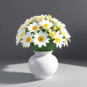 Bright Summer Daisy Blossom in White