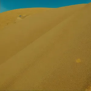 Sun-kissed Moroccan Desert Dunes