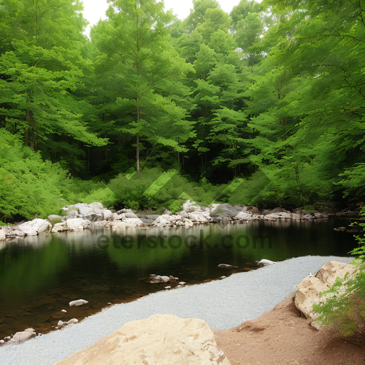 Picture of Serene Waterfall Flowing Through Lush Forest