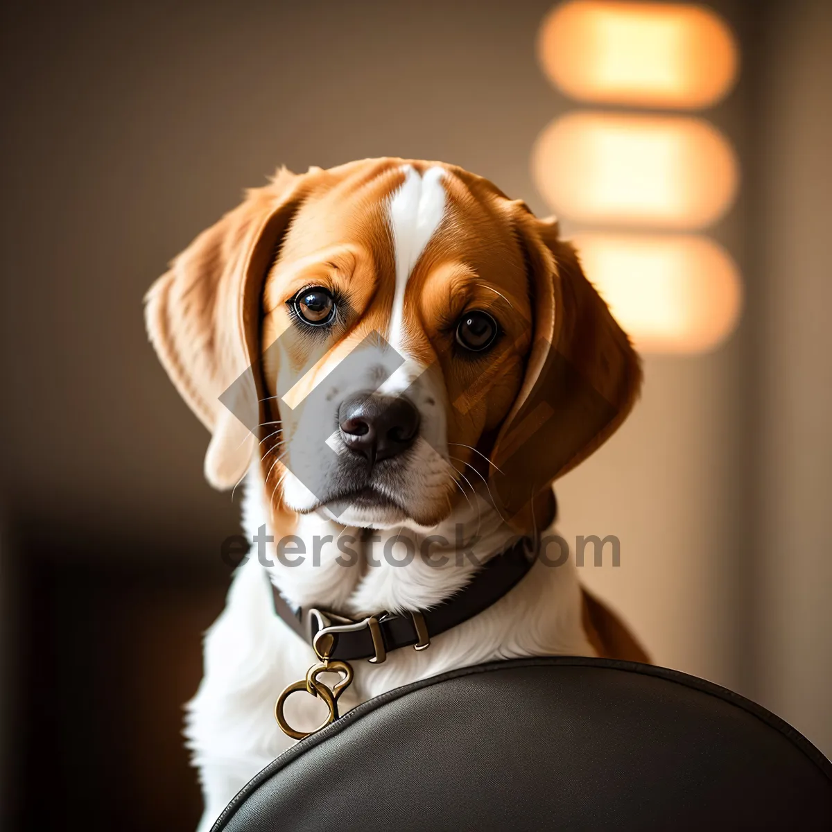 Picture of Adorable Beagle Puppy - Purebred Canine Portrait