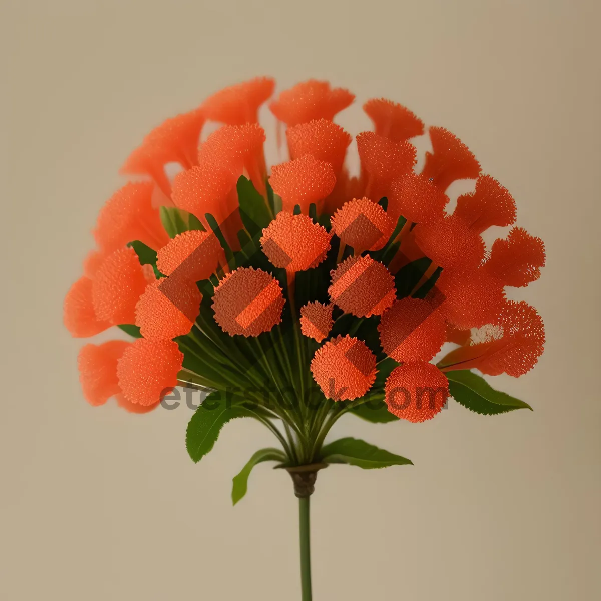 Picture of Pretty Pink Daisy Flower Bouquet in Summer Garden