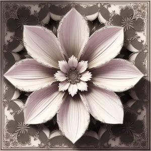 White Daisy Blossom in a Garden