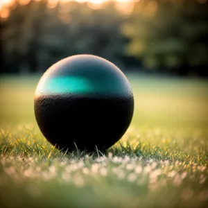 Croquet Ball - Essential Equipment for Competitive Grass Sports