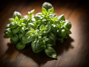 Fresh Basil Leaves for Healthy Cooking