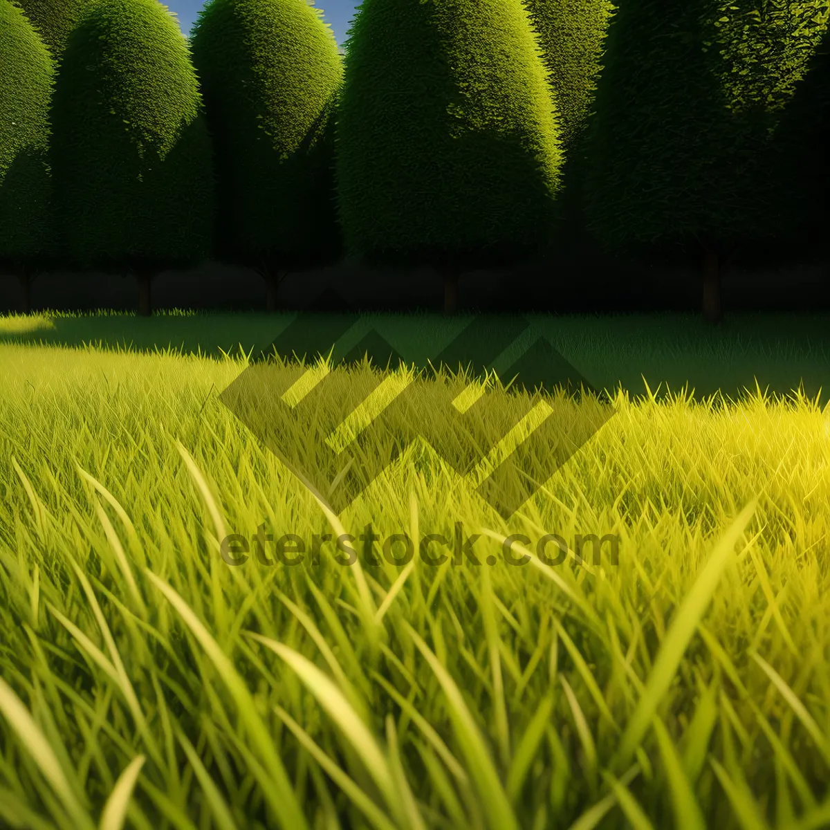 Picture of Vibrant Field of Lush Green Grass