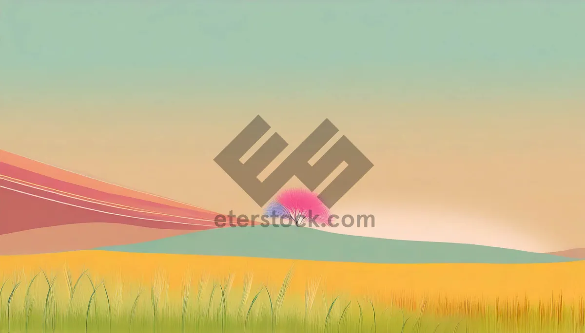 Picture of Sunny Sky Landscape with Colorful Hot Air Balloon