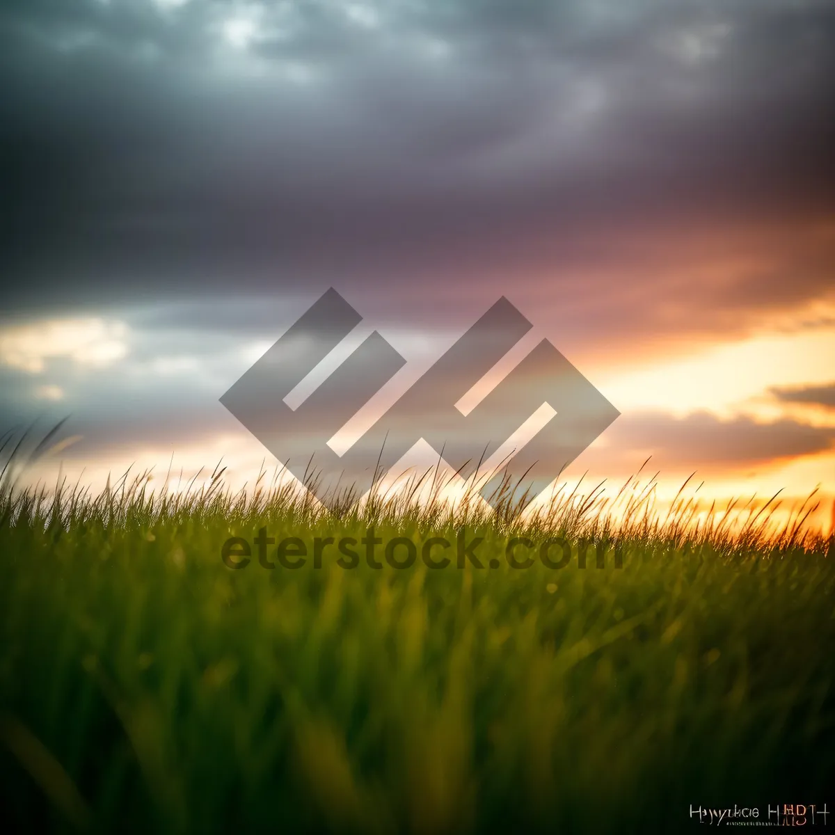 Picture of Vibrant Summer Sky Over Rural Landscape