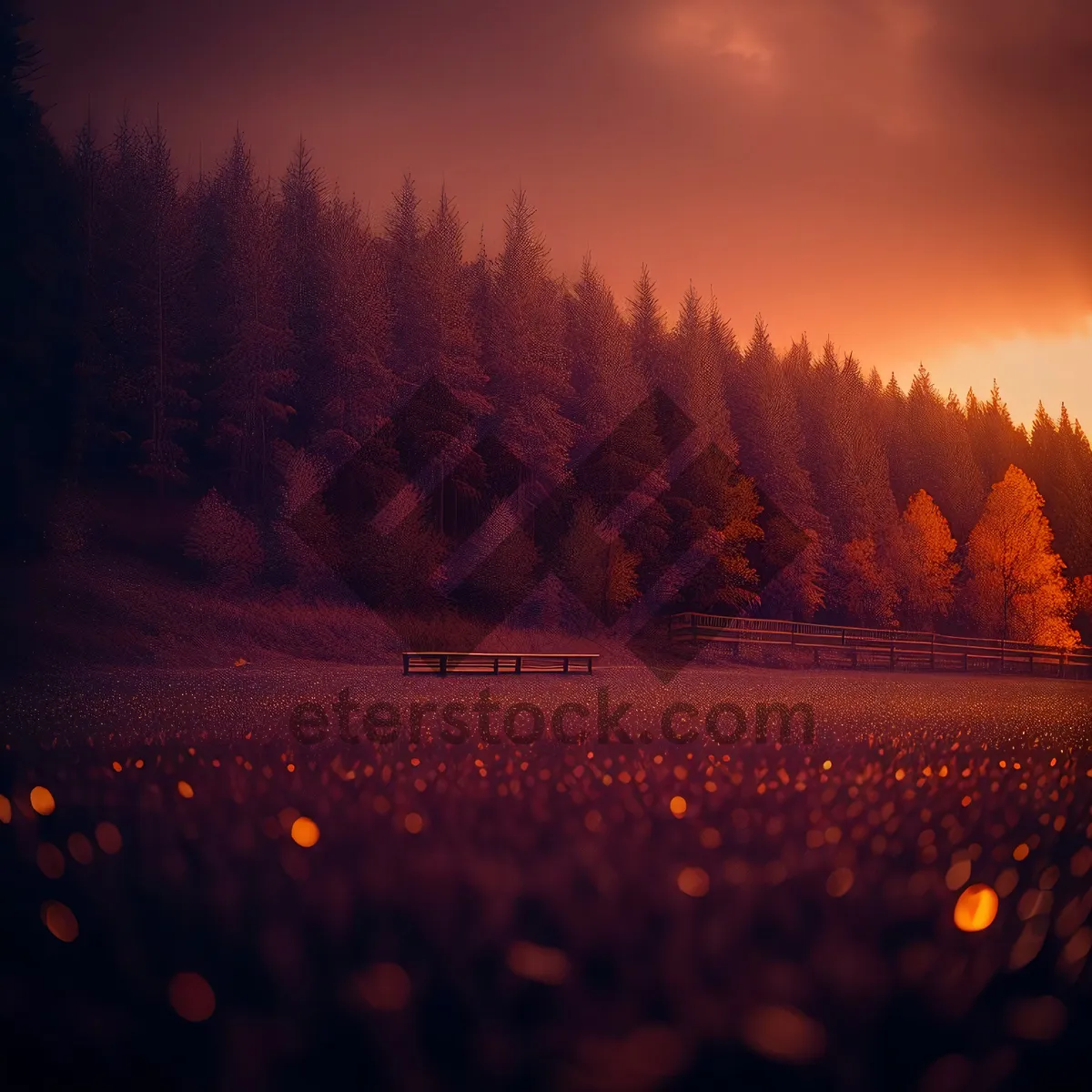 Picture of Sunset Skyline Reflecting on Forest Canopy