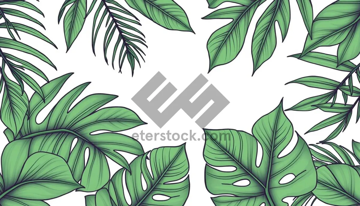 Picture of Decorative Floral Silhouette Pattern with Summer Leaves