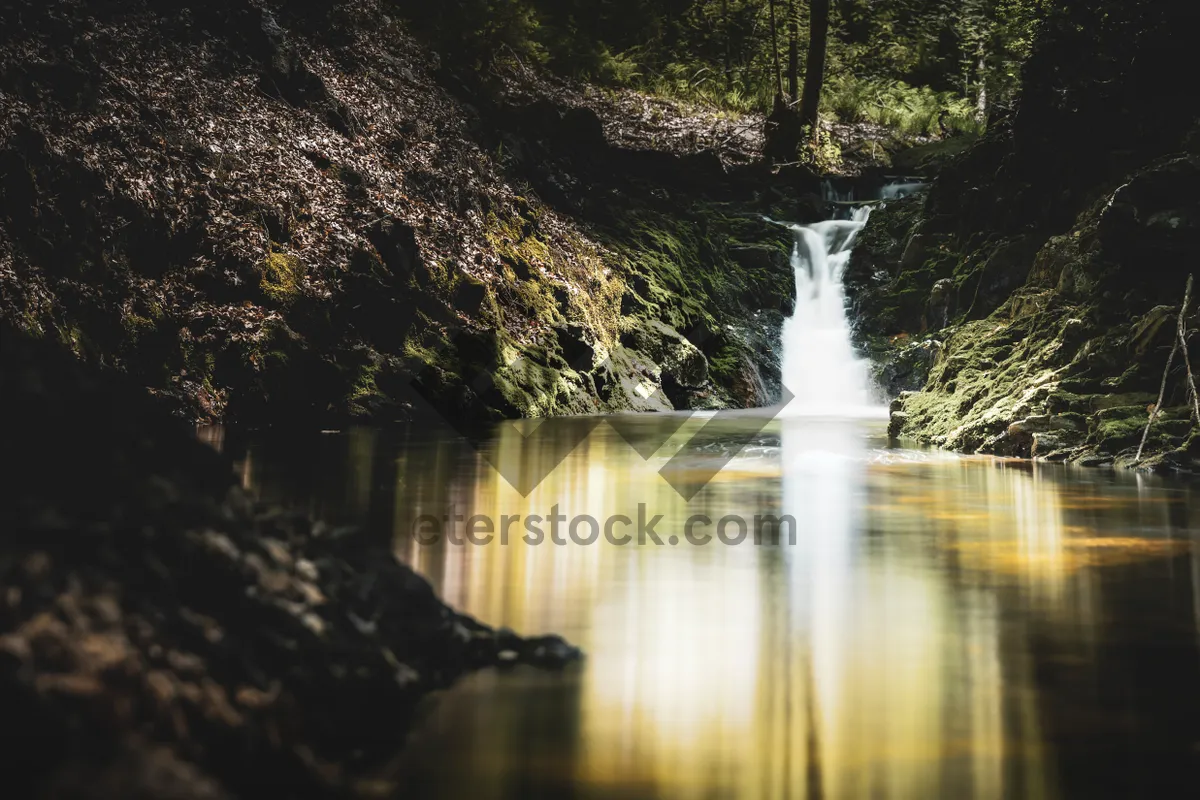 Picture of Mountain River Flowing Through Wilderness Scenery