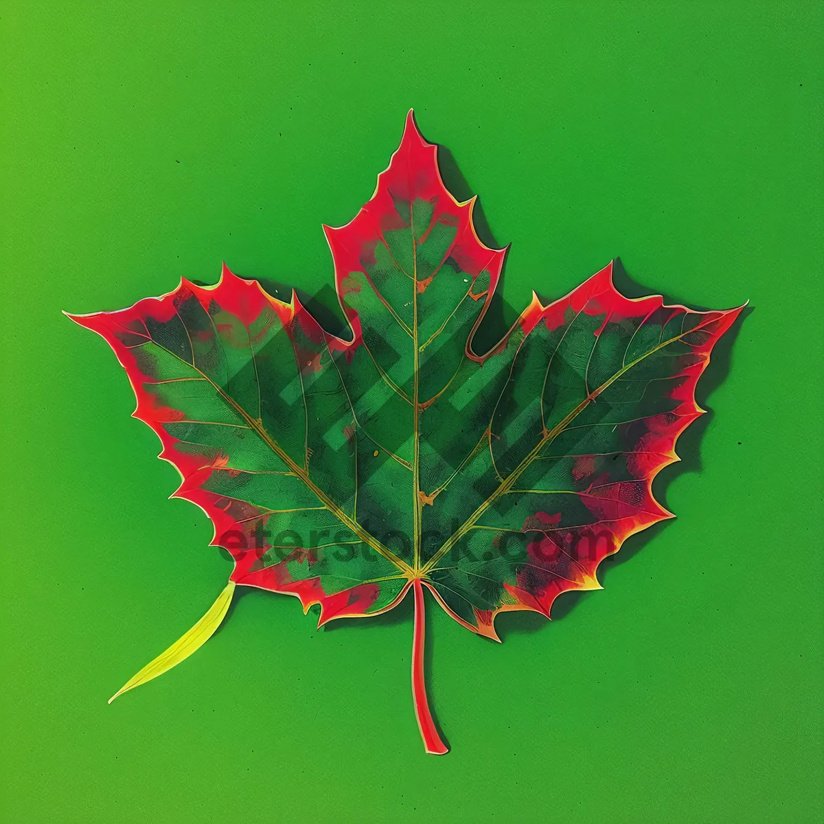 Picture of Poisonous Maple Leaf Decoration for Autumn Season