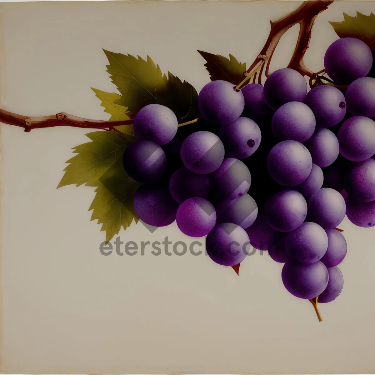 Picture of Autumnal Sweet Grape Bunch with Wine