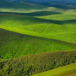 Idyllic Rural Farm Landscape Under Sunny Sky