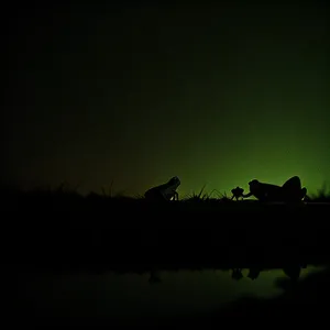 Camel Silhouette in Dusk Sky