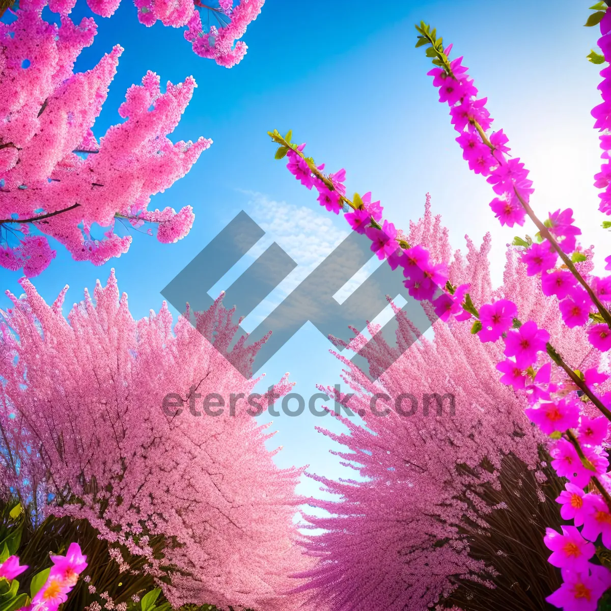 Picture of Pink Light: Vivid Fractal Flower Burst in Digital Hue