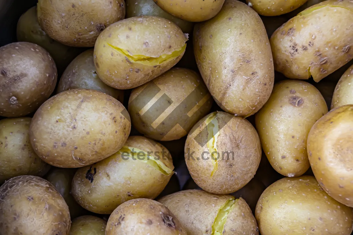 Picture of Fresh Mango Close-Up Shot - Edible Healthy Produce Image