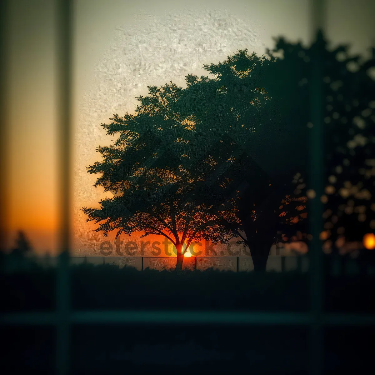 Picture of Sunset Silhouette Behind Picket Fence