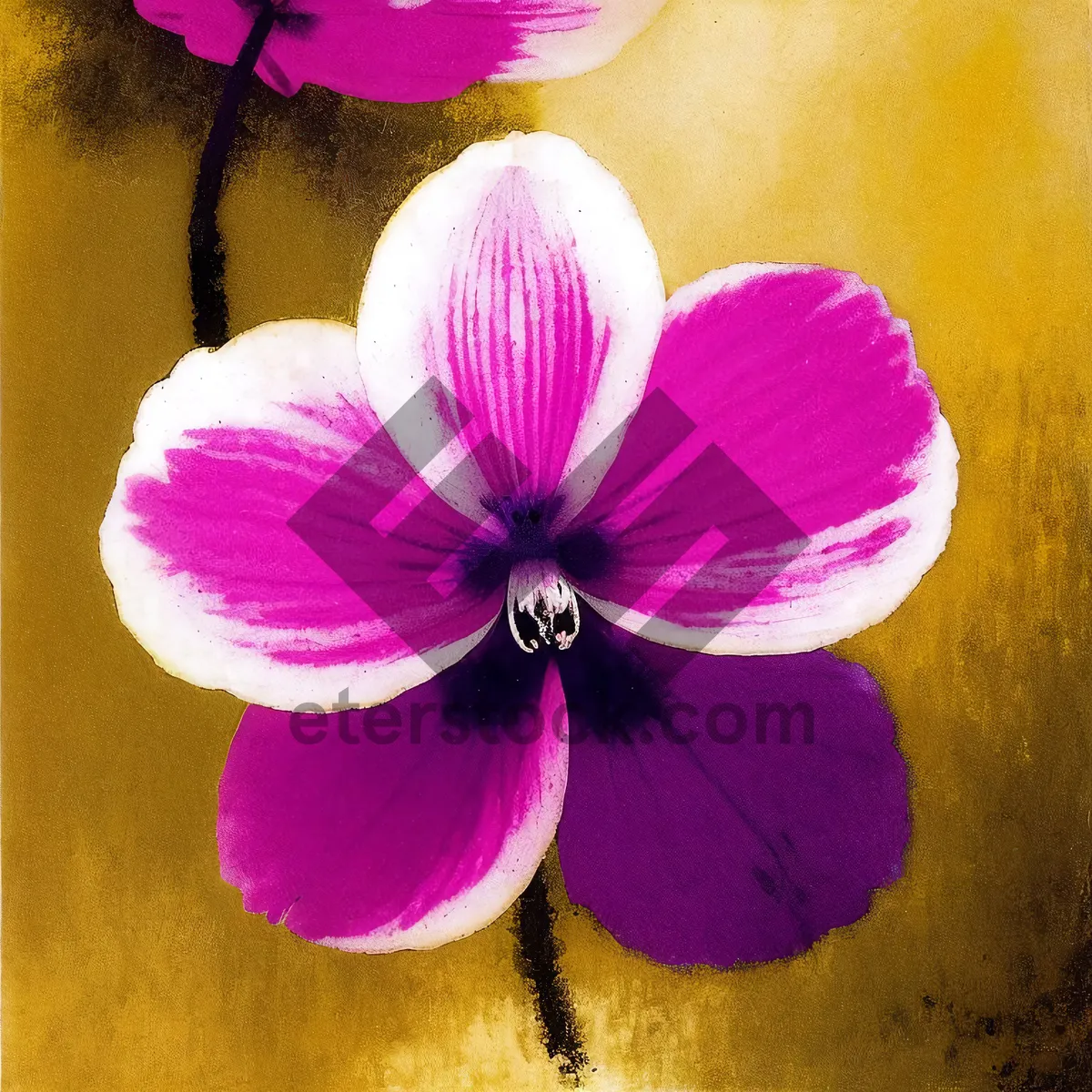 Picture of Delicate Orchid Blossom in Vibrant Pink Hue