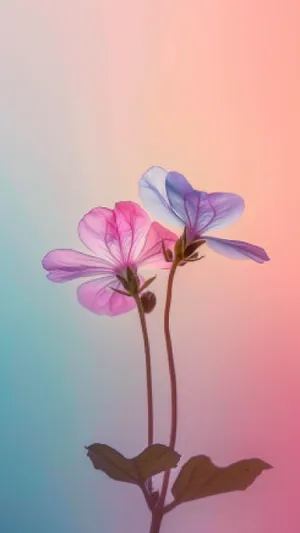 Pink Geranium in Blooming Garden Bouquet.