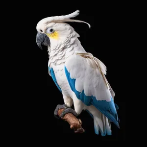 Colorful Macaw Parrot in a Tropical Zoo Setting.