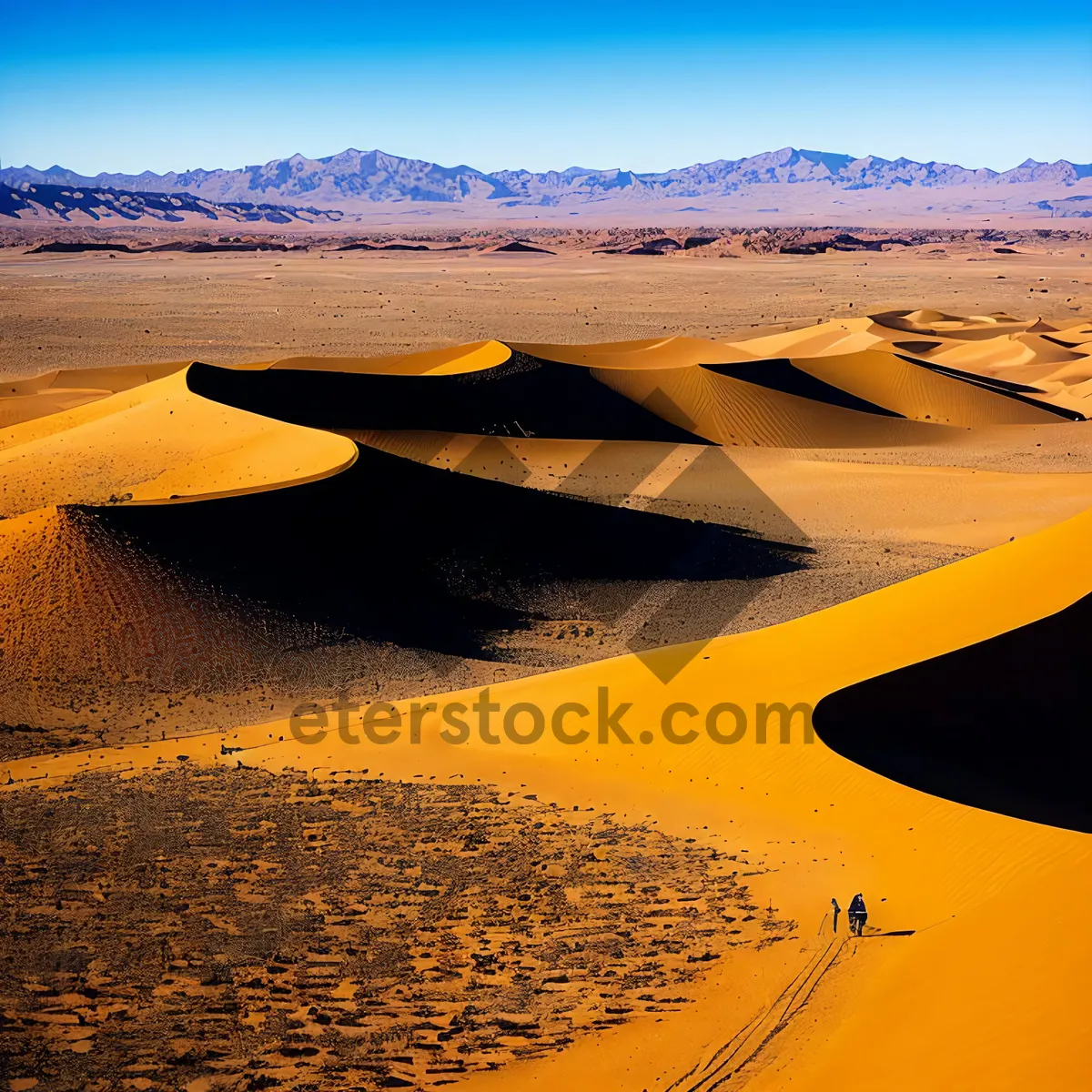 Picture of Sun-kissed Desert Dunes: A Scorching Moroccan Adventure