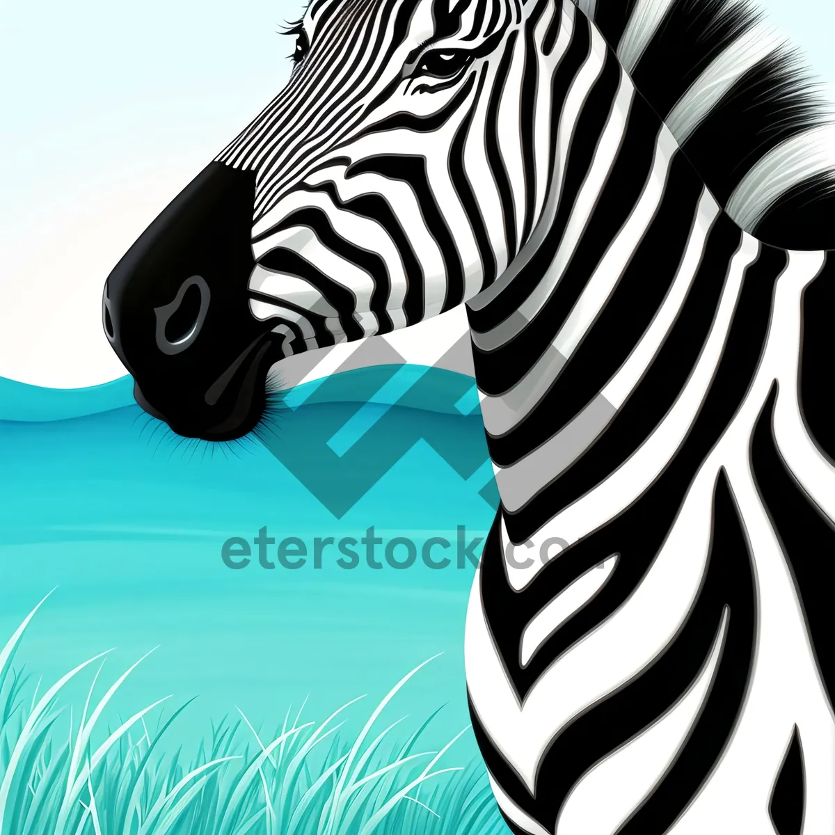 Picture of Striped Zebra Grazing in South African Wildlife Park