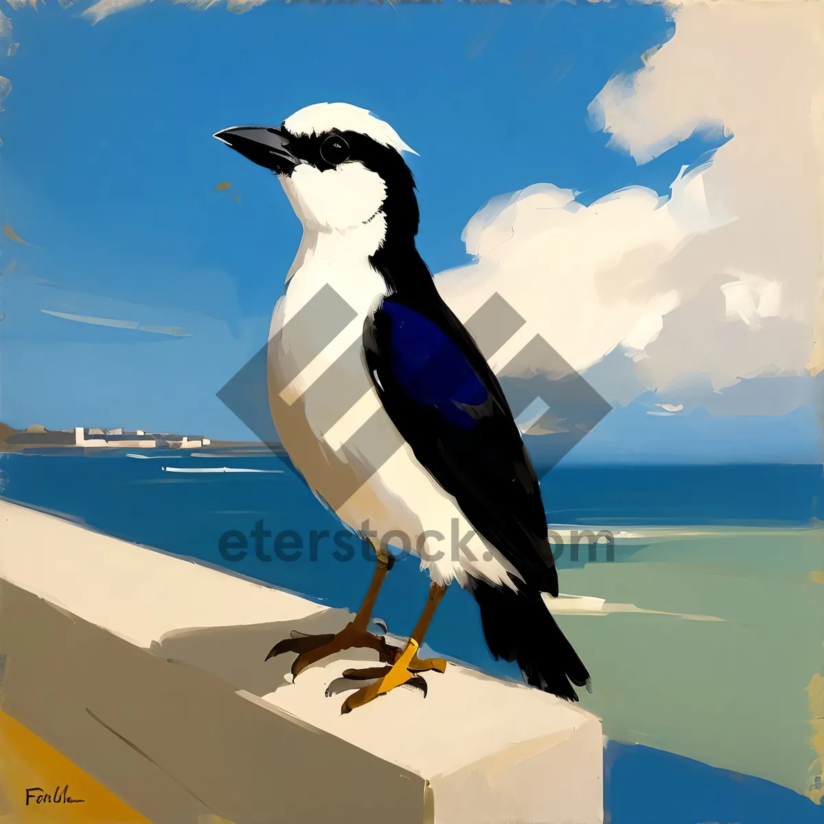 Picture of Magpie bird soaring over ocean