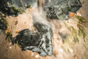 Wild Waterfall Flowing Through Mossy Rocks in Forest