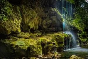 Mountain Stream Flowing Through Peaceful Forest Landscape