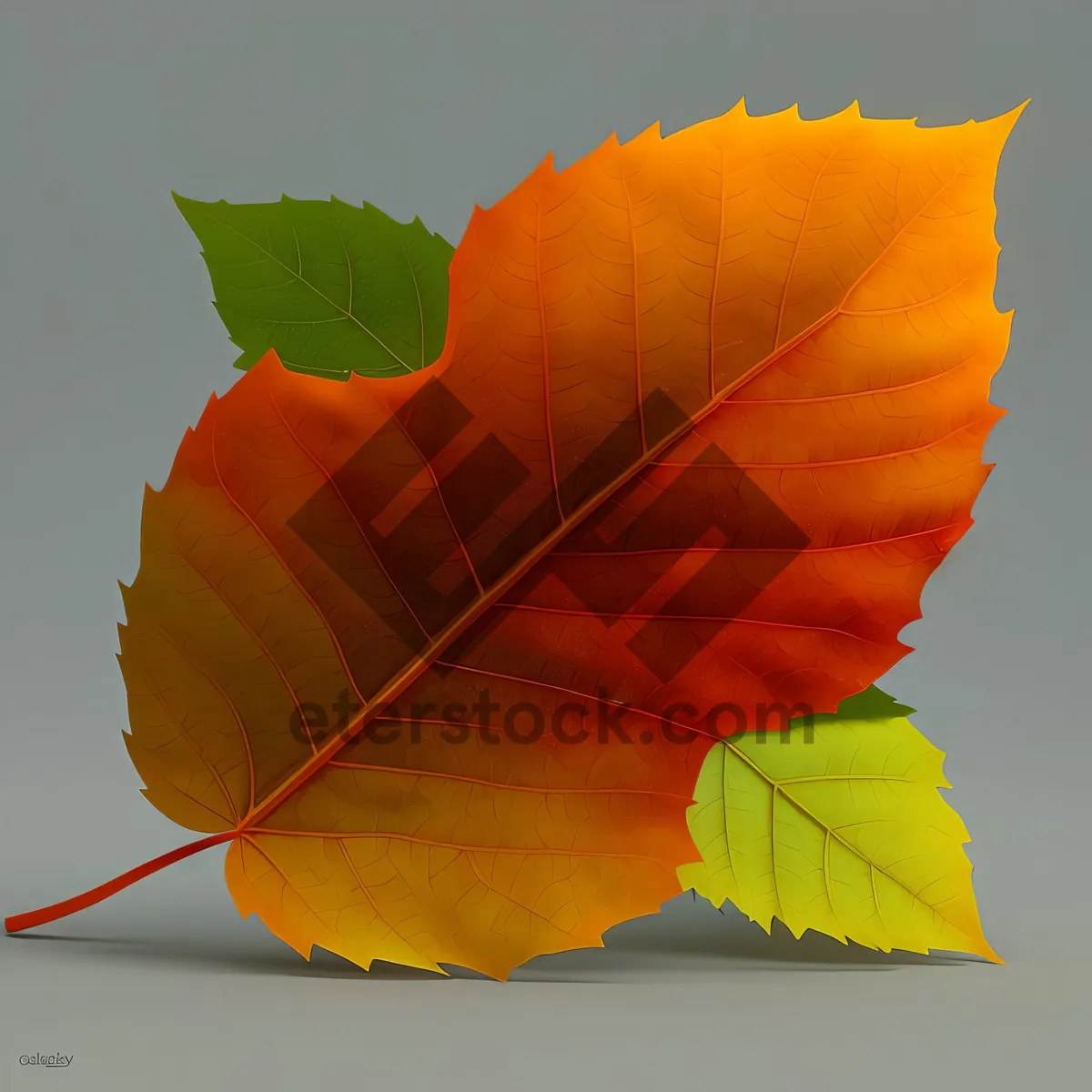 Picture of Autumn Floral Rescue Equipment with Yellow Balloon