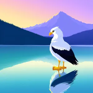 Graceful Seagull Gliding over Serene Waters