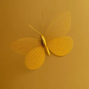 Lacewing Butterflies on Blooming Flowers