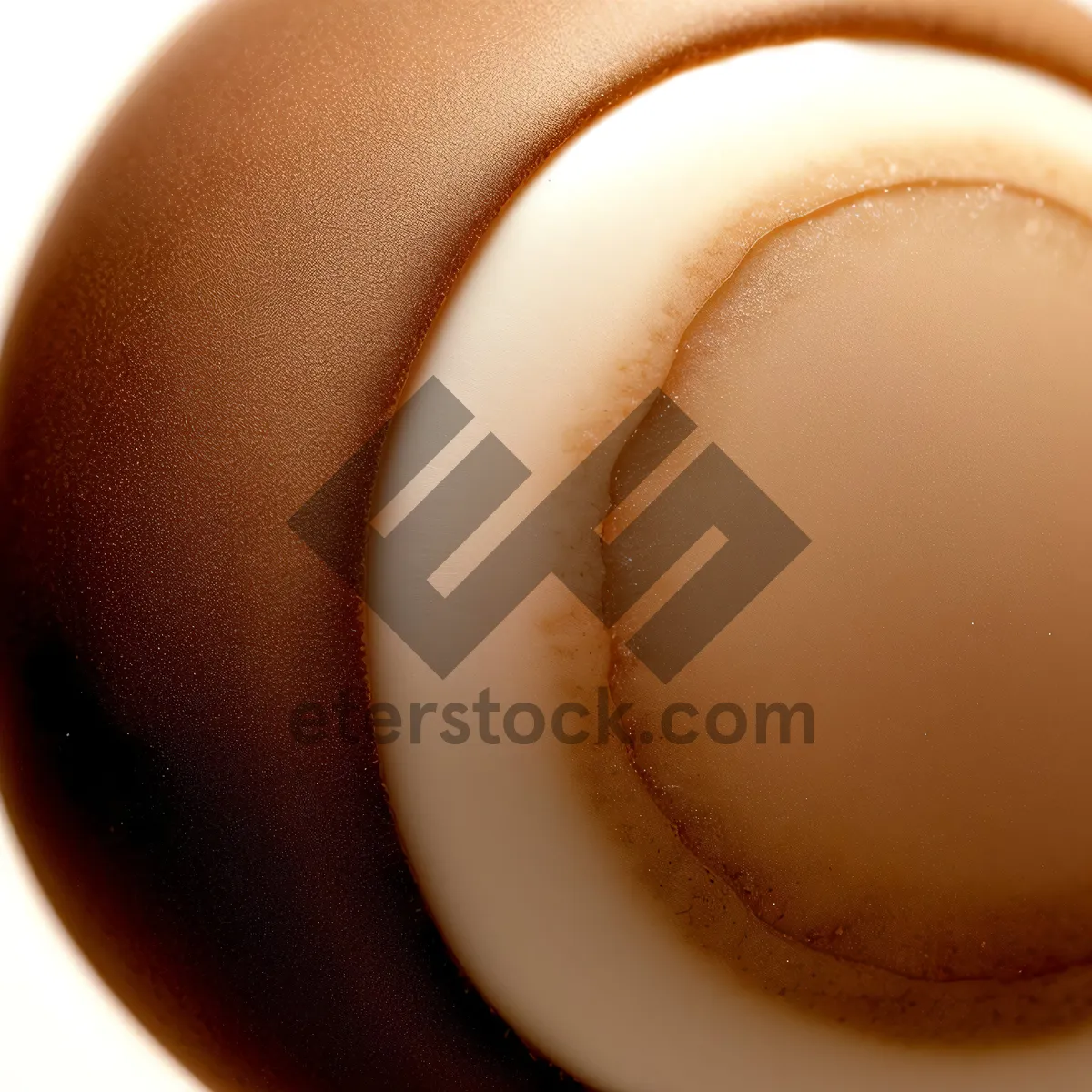 Picture of Steaming cup of rich cappuccino with chocolate garnish