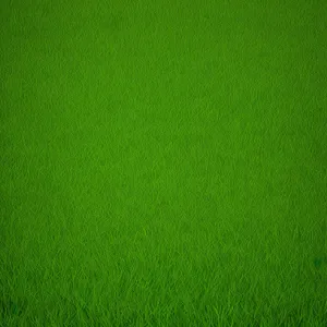 Greenery Meadow: Textured Grass Field Backdrop