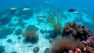 Colorful Coral Reef in Underwater Marine Life Scene